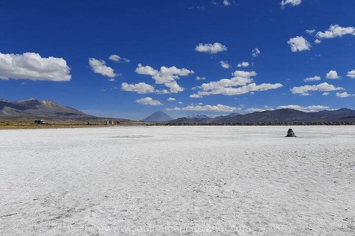 Fra Arequipa: Halvdagstur til Salinas Lagoon