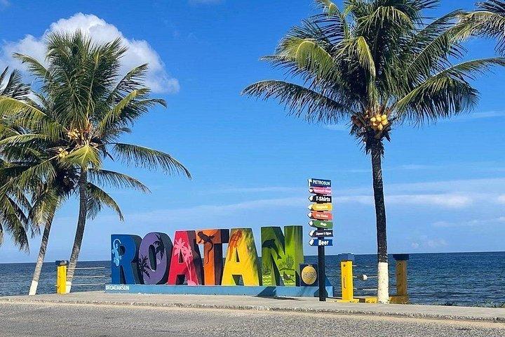 Roatan Excursion, Monkey and Sloth with Chocolate and Rum Tasting