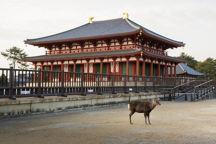 From Osaka, Nara Private Customizable Day Tour