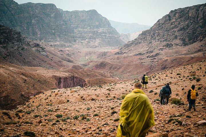 Petra til Wadi Rum Trek - 6 dage