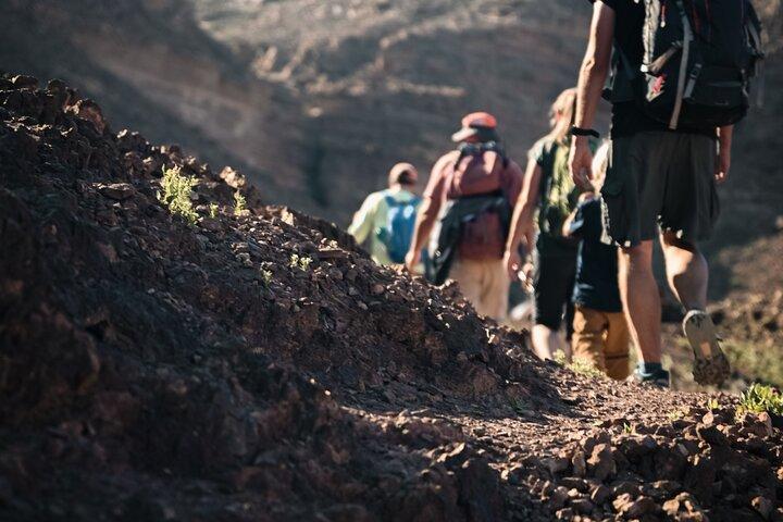 Petra til Wadi Rum Trek - 6 dage