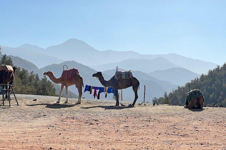 Day Trip to Atlas mountains with Berber House & Waterfalls