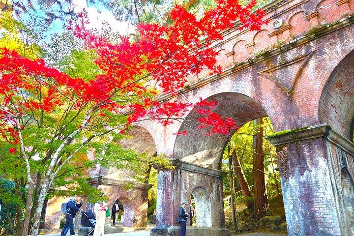 京都 : 静かな水辺を走る東山スローサイクリングツアー