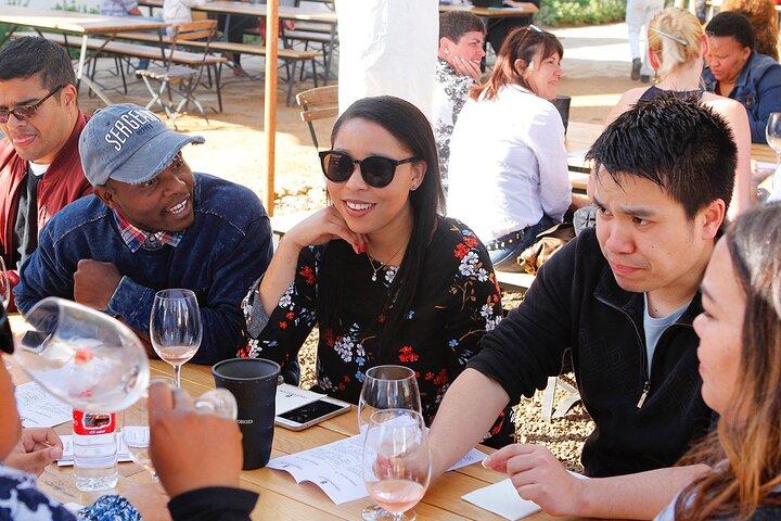 Vin tur på Stellenbosch, Franschhoek, og Paarl