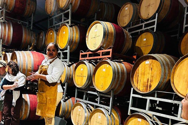 Vin tur på Stellenbosch, Franschhoek, og Paarl