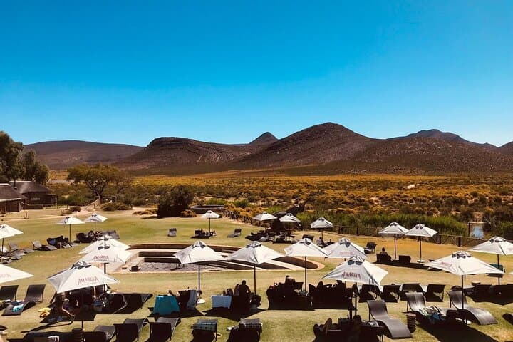 Aquila Private Game Reserve Safari Tour with Wine Tasting