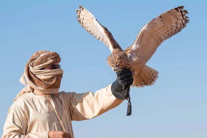 Desert Safari Dubai Sand Bashing, Camel Ride, Shows, Live BBQ