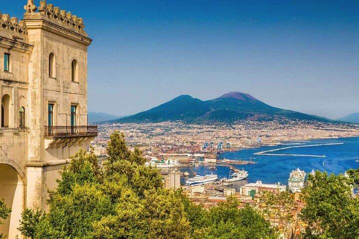 Escursione privata da Roma: Pompei e Napoli con pranzo incluso