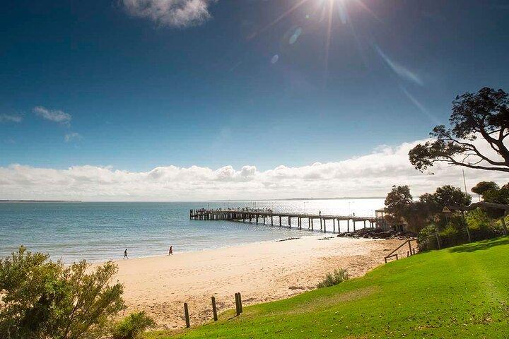 Melbourne Phillip Island Tour Privado com o Pinguim