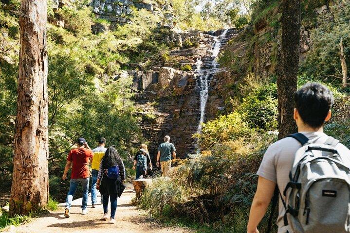 メルボルン発、グランピアンズ国立公園を少人数グループでめぐるエコツアー