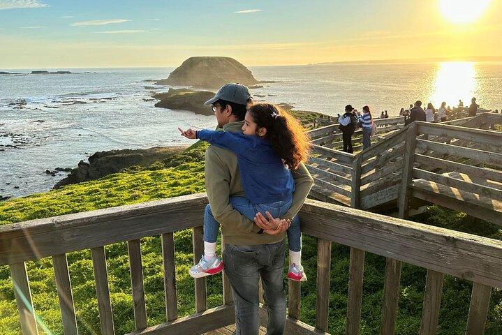 メルボルン発フィリップ島＆ペンギンパレード午後エコツアー