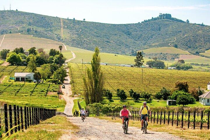 Stellenbosch Luxury Winelands - Excursão por EBike ©