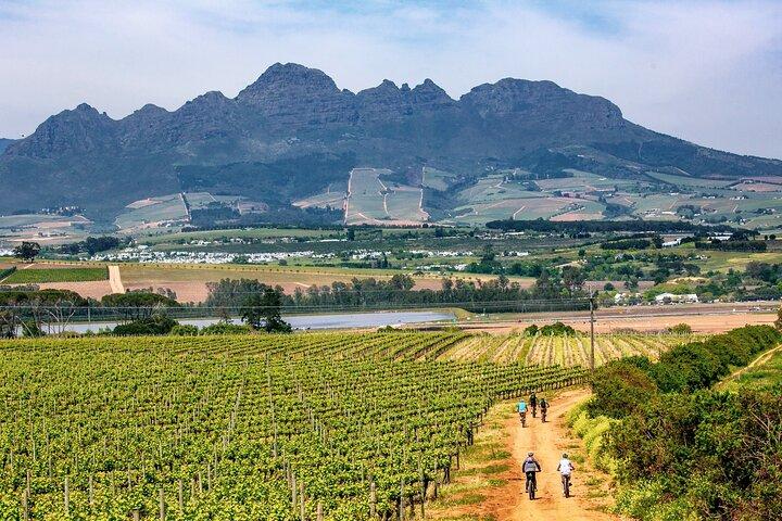 Tour de bicicleta de meio dia de Stellenbosch Winelands
