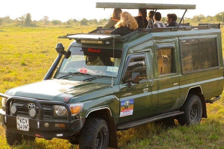 3日間マサイマラ移住2026|4×4で毎日のバジェットサファリ