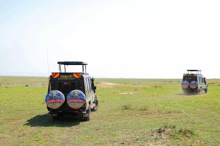 3 jours Masai Mara Migration 2026 | Safaris quotidiens à petit budget en 4×4