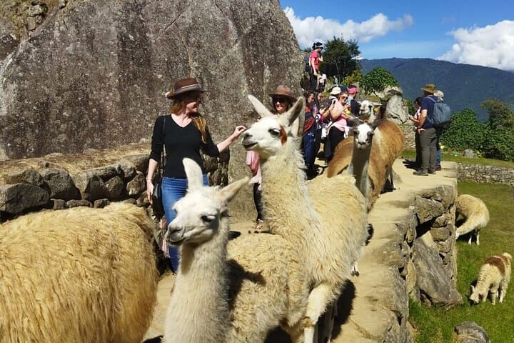 Private Day Tour to Machu Picchu