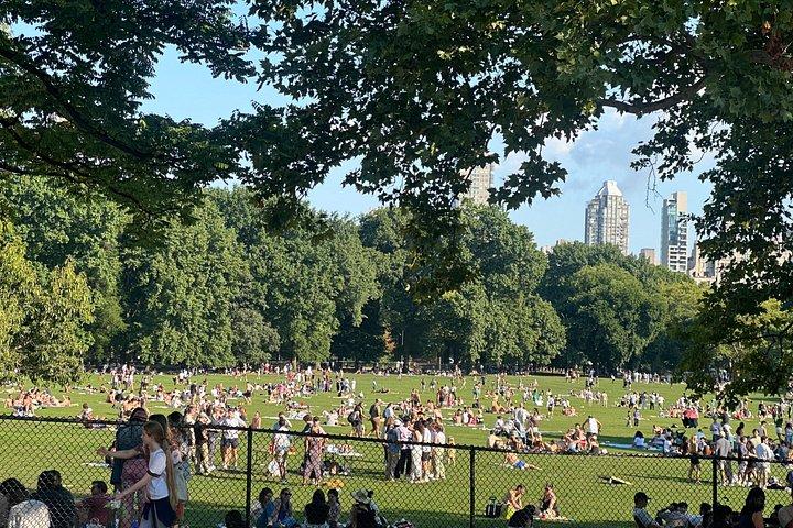 1 or 2 hour Central Park Pedicab Tour.
