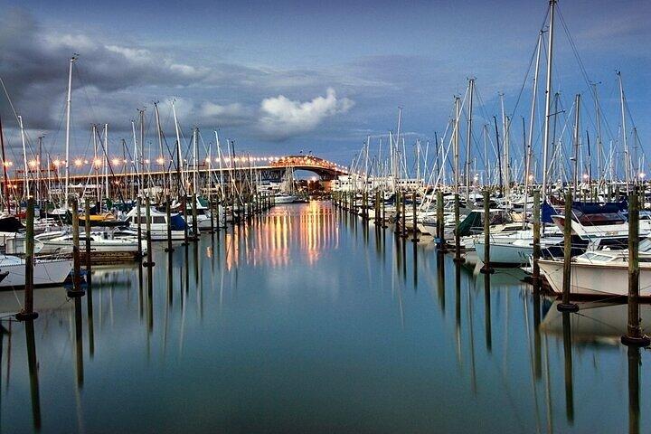 Auckland City Highlights Private Tour