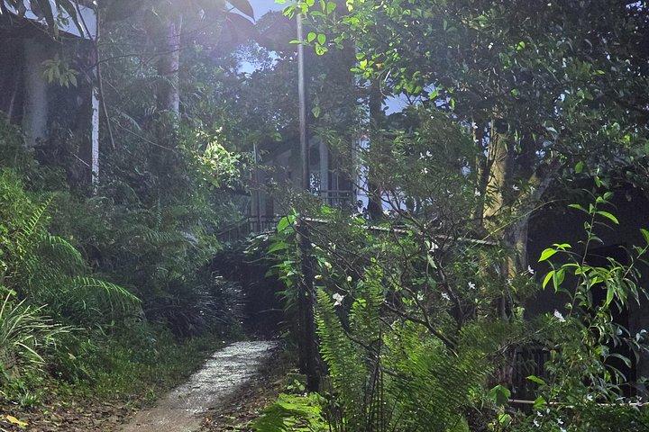 Sinharaja' rainforest - Adventure Tour (Full day)