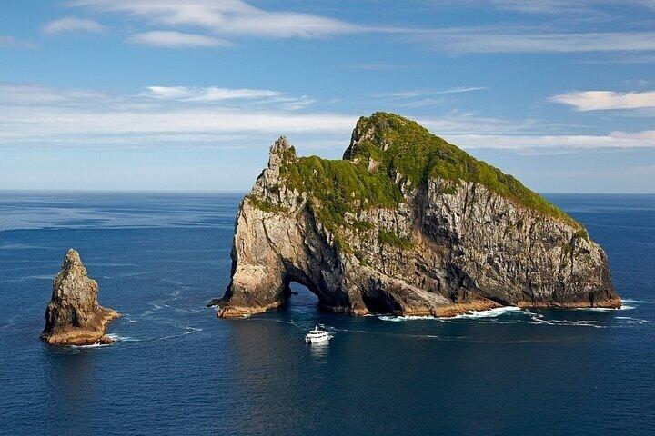 Privat rundtur i Bay of Islands
