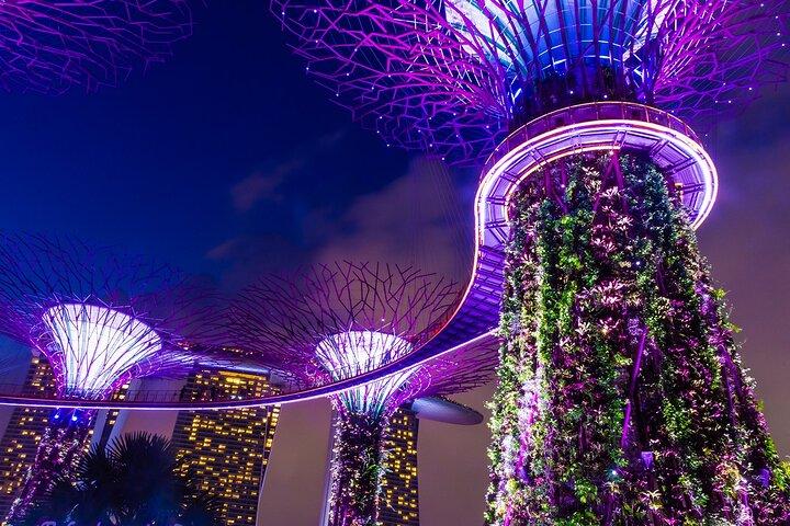 Shine Bright Like a Diamond Singapore Night Tour