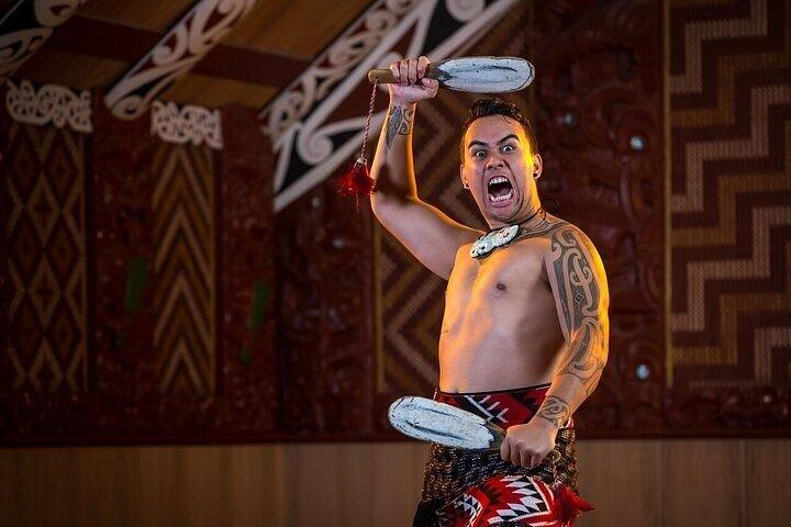 Waitomo Glow Worm Caves & Te Puia (Rotorua) Visite privée