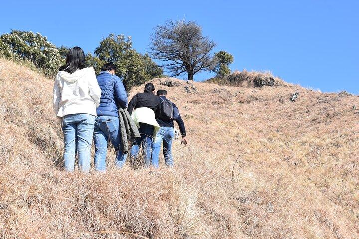 Benog Trek dans la nature