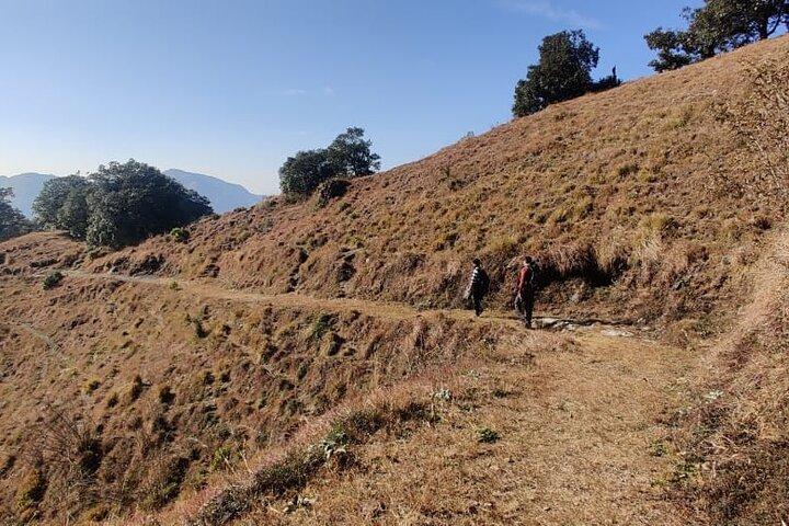 Benog Trek dans la nature