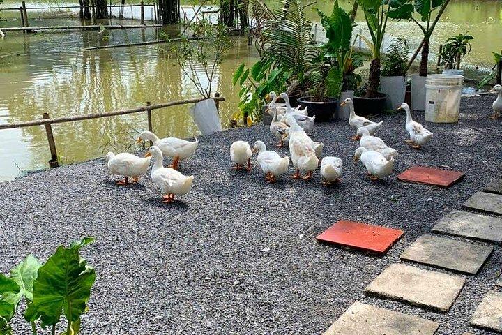 ニンビンへのハノイ： 驚きの目的地へのバイクアドベンチャー