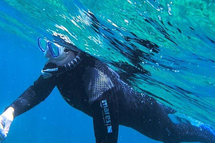 シュノーケル付きボートツアー