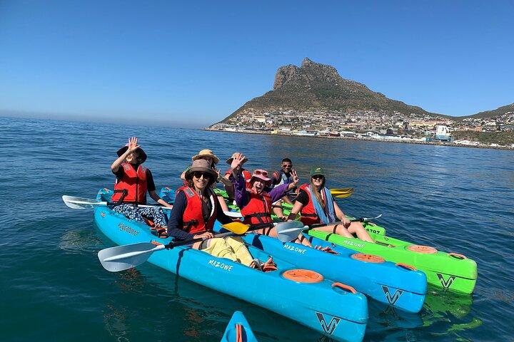 Deux heures de kayak à Hout Bay