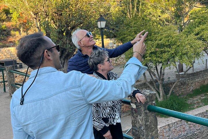 ファロ発：ベナジル断崖、滝、少人数グループ日帰り旅行