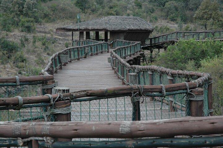 ナイロビ国立公園のサファリウォークと動物孤児院