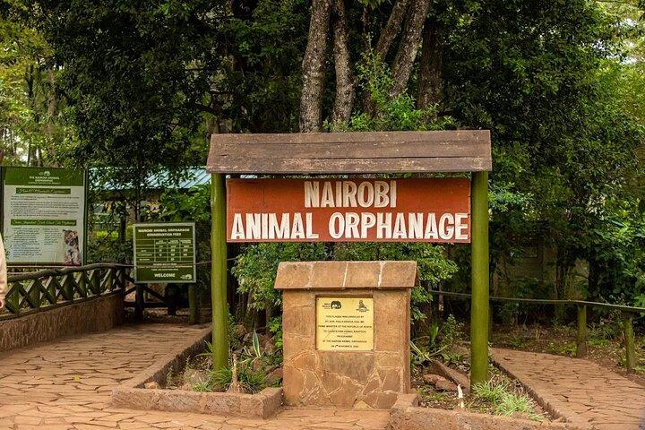 ナイロビ国立公園のサファリウォークと動物孤児院