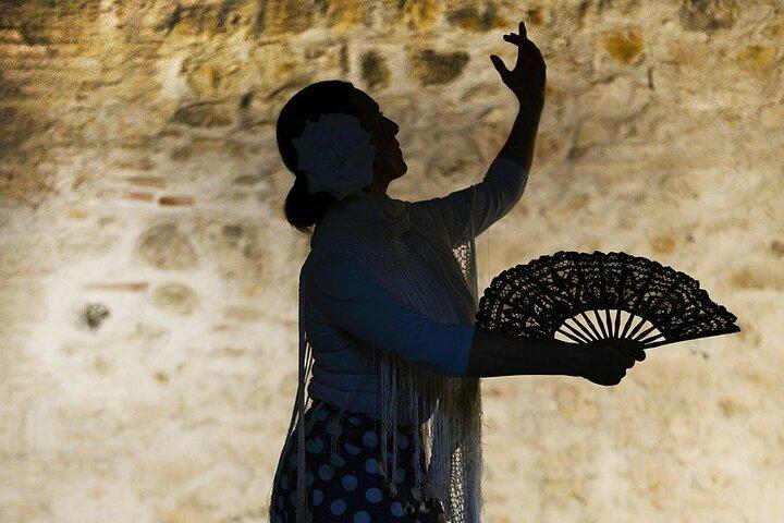 Tour in bicicletta di Sevilla flamenca e spettacolo di flamenco