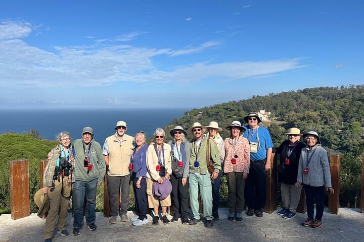 Tangier Walking Tour: Kasbah, Medina, Souks & American Legation