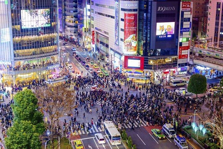 Tour privado de Tóquio com Guia Inglês e totalmente personalizável