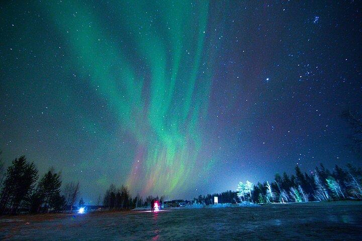 Fra Rovaniemi: Aurora Dreamscape Tour i Lapland