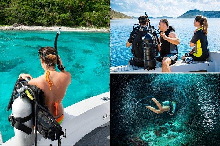 Alanya : Scuba Diving for Beginners w/ Lunch and Transfer