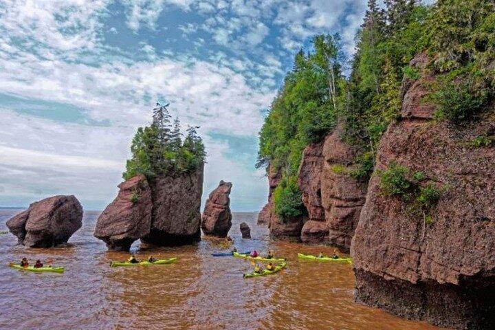 Tour privato di Saint John (NB) Bay of Fundy e Hopewell Rocks