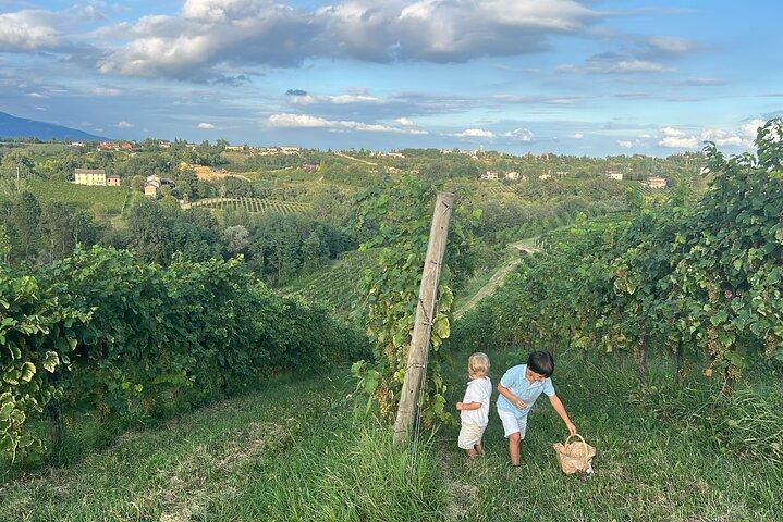 Experiencia de lujo exclusiva en las colinas de Prosecco