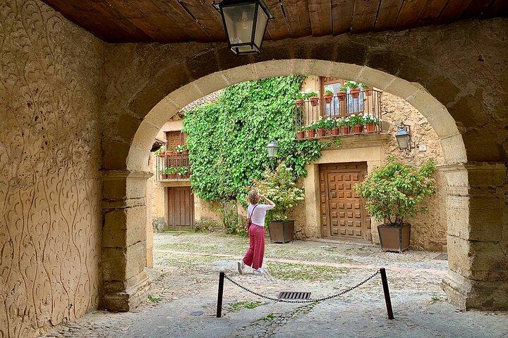 Segovia y cata en bodega familiar en grupo pequeño desde Madrid