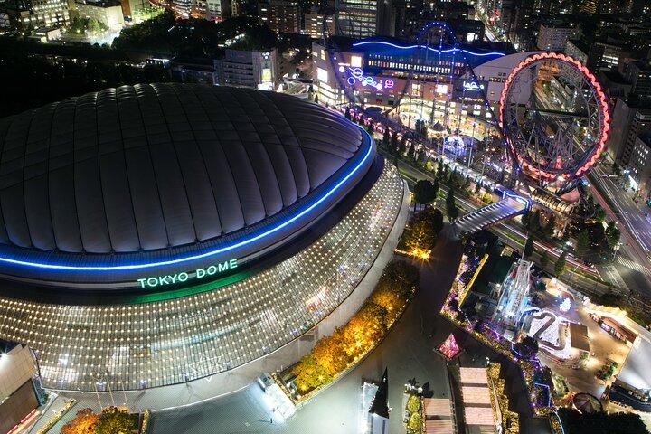 Privat rundtur i Tokyo 5 städer och 10 poäng dag eller natt