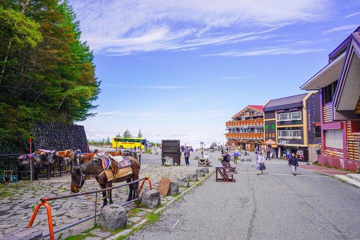 自然とわさび農園で富士山プライベート貸切ツアー