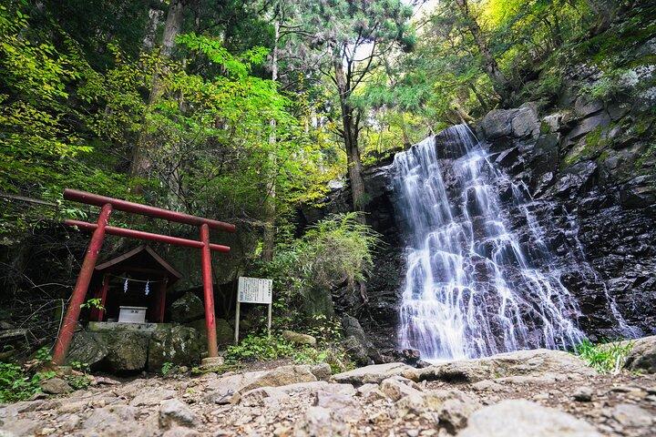 自然とわさび農園で富士山プライベート貸切ツアー