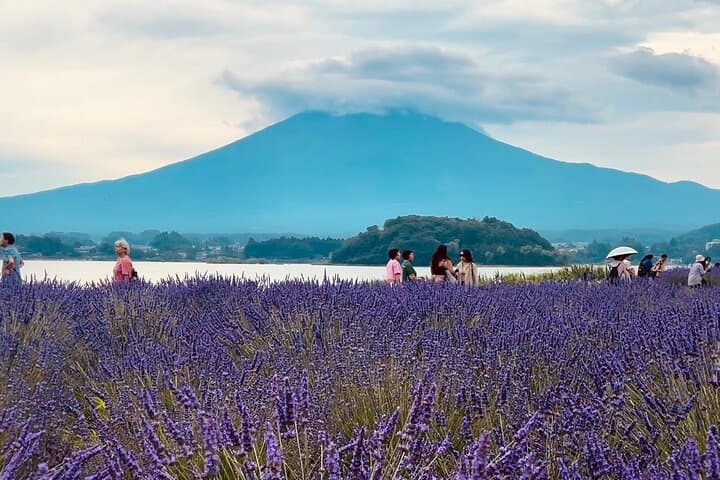 Fuji/Hakone Private Tour with English Guide & Fully Customizable