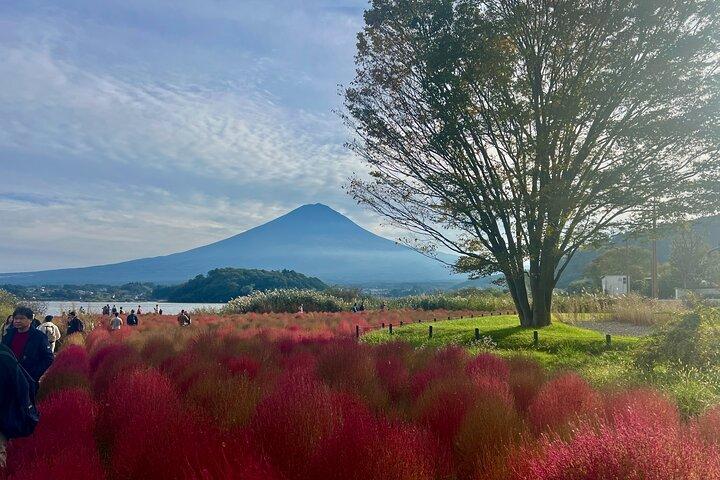 Fuji/Hakone Tour Privado con Guía Inglés y Totalmente Personalizable