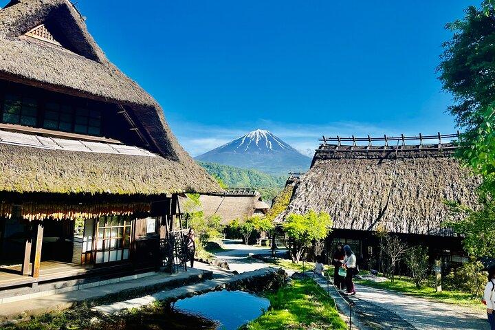 Fuji/Hakone Tour Privado con Guía Inglés y Totalmente Personalizable