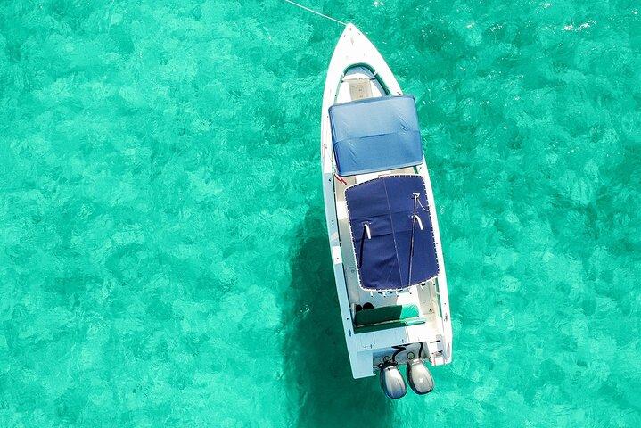 Privéboottocht Nassau Rose Island Zwemmen Varkens, Schildpadden