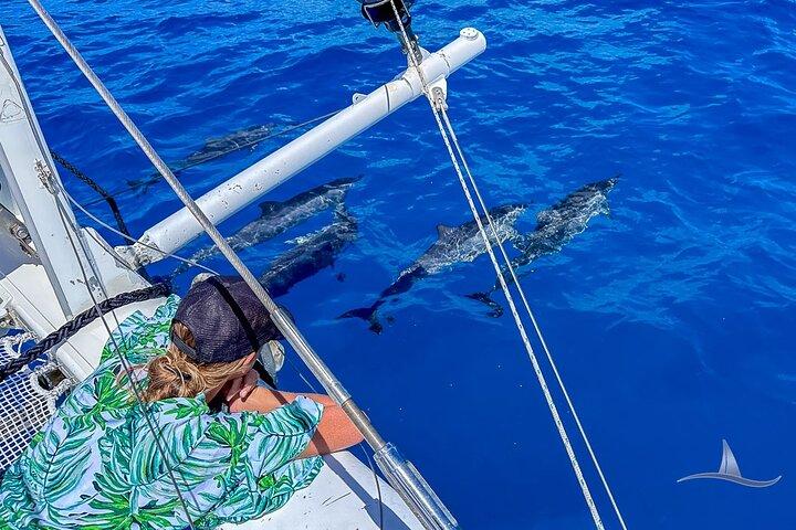 3 Stunden Luxus-Privatsegelkatamaran in Waikiki für 1 bis 6 Personen